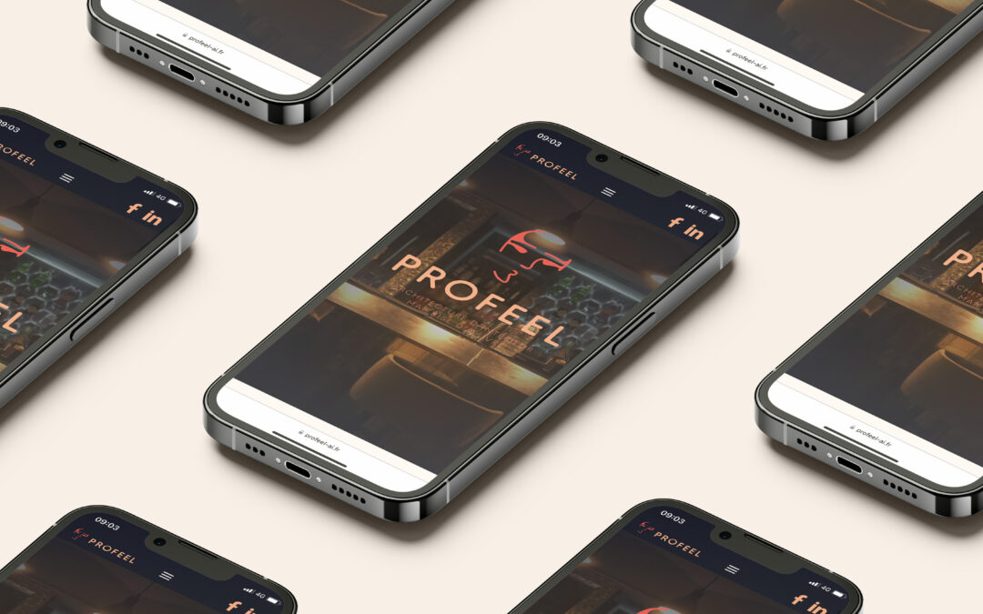 Profeel -Site web
